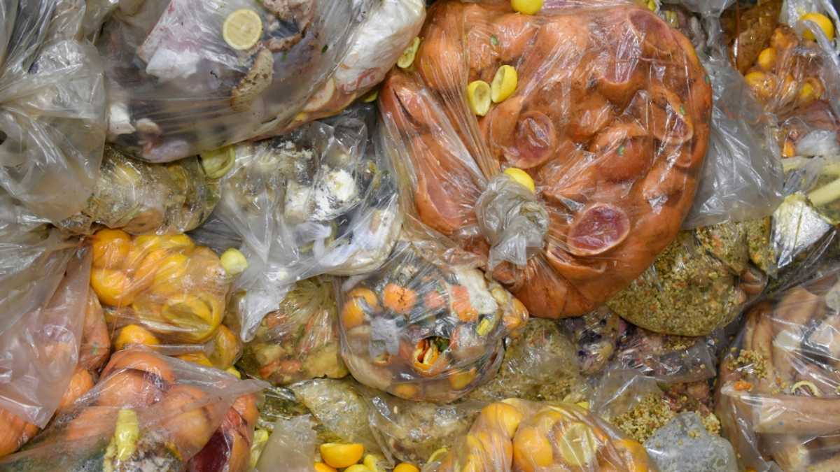 EU clamps down on food waste, fast fashion