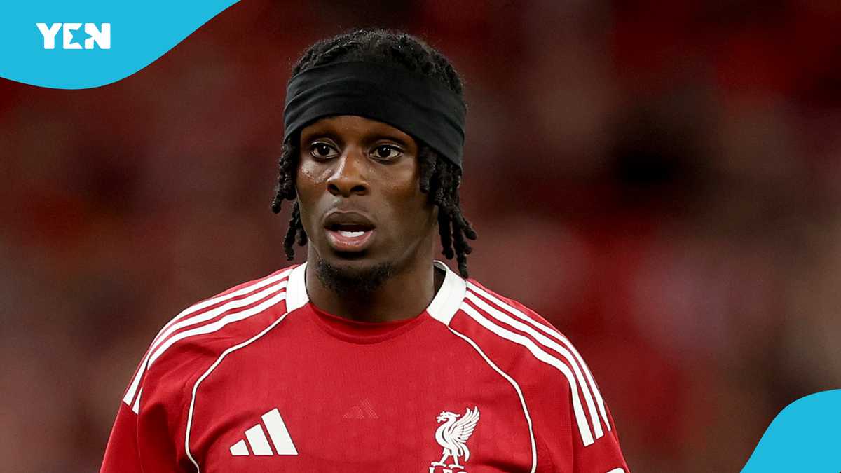 Artistic Liverpool Dealt Further Injury Blow As Jeremie Frimpong Is Substituted After Coming Off The Bench In Netherlands Clash Image Nature Artistic Liverpool Dealt Further Injury Blow As Jeremie Frimpong Is Substituted After Coming Off The Bench In Netherlands Clash Image Nature