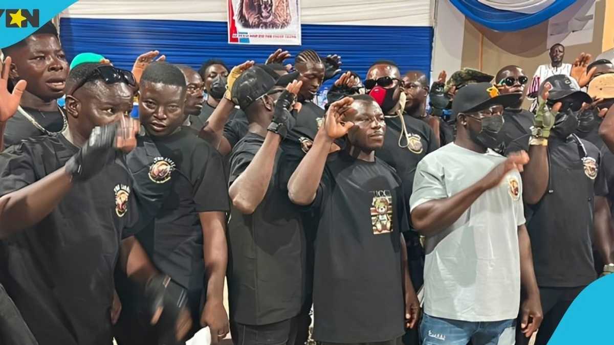 NPP Upper East Region forms 'Lions' security group ahead of 2028 elections
