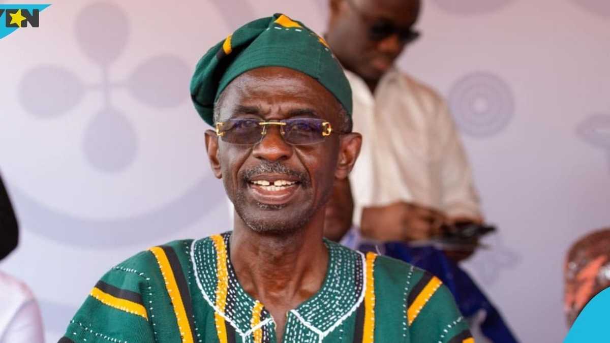Asiedu Nketia’s son hints at father's plan to contest NDC flagbearer race