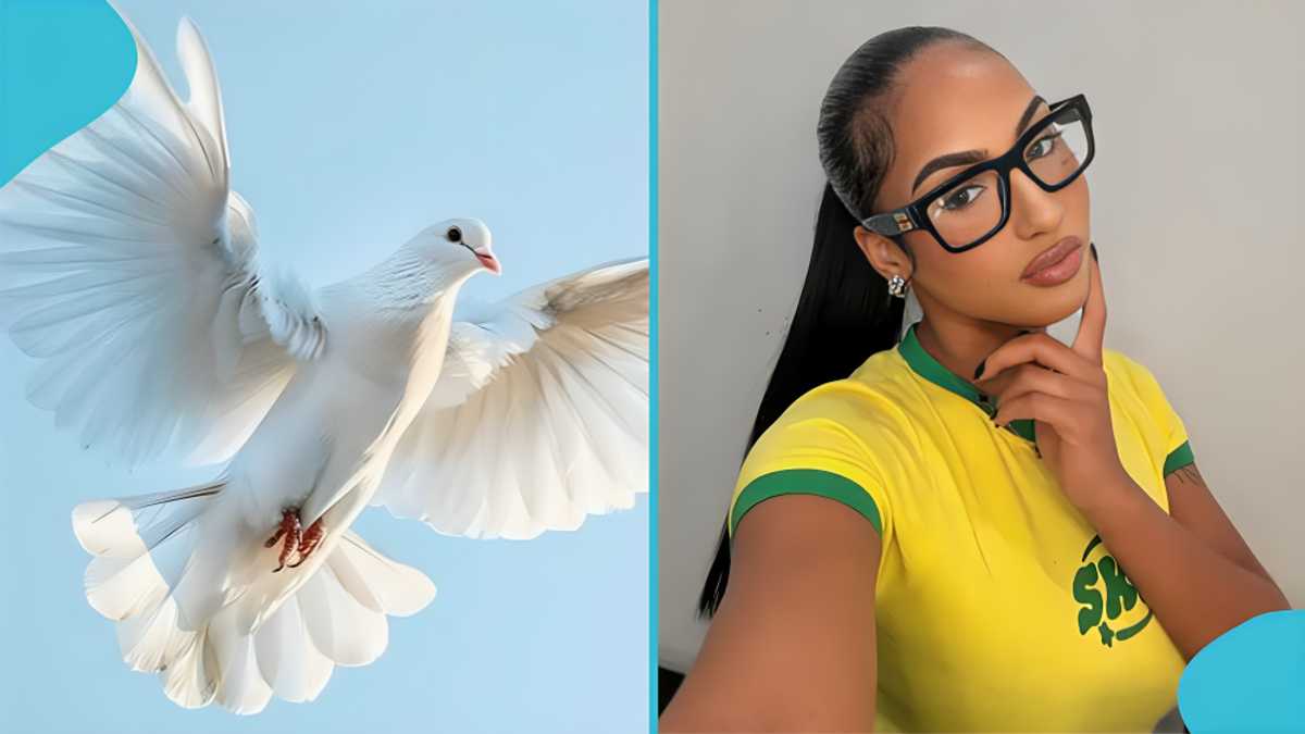 Ayzia J. Toledo: Heartbreak as popular content creator and model passes away at 22