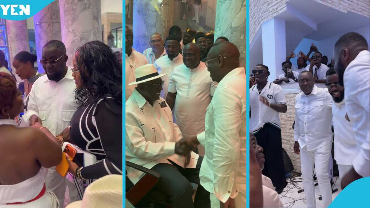 Videos drop as Kufuor, Bawumia, McBrown, Dumelo, Stonebwoy, Efia Odo, RNAQ, others celebrate Ofori Sarpong