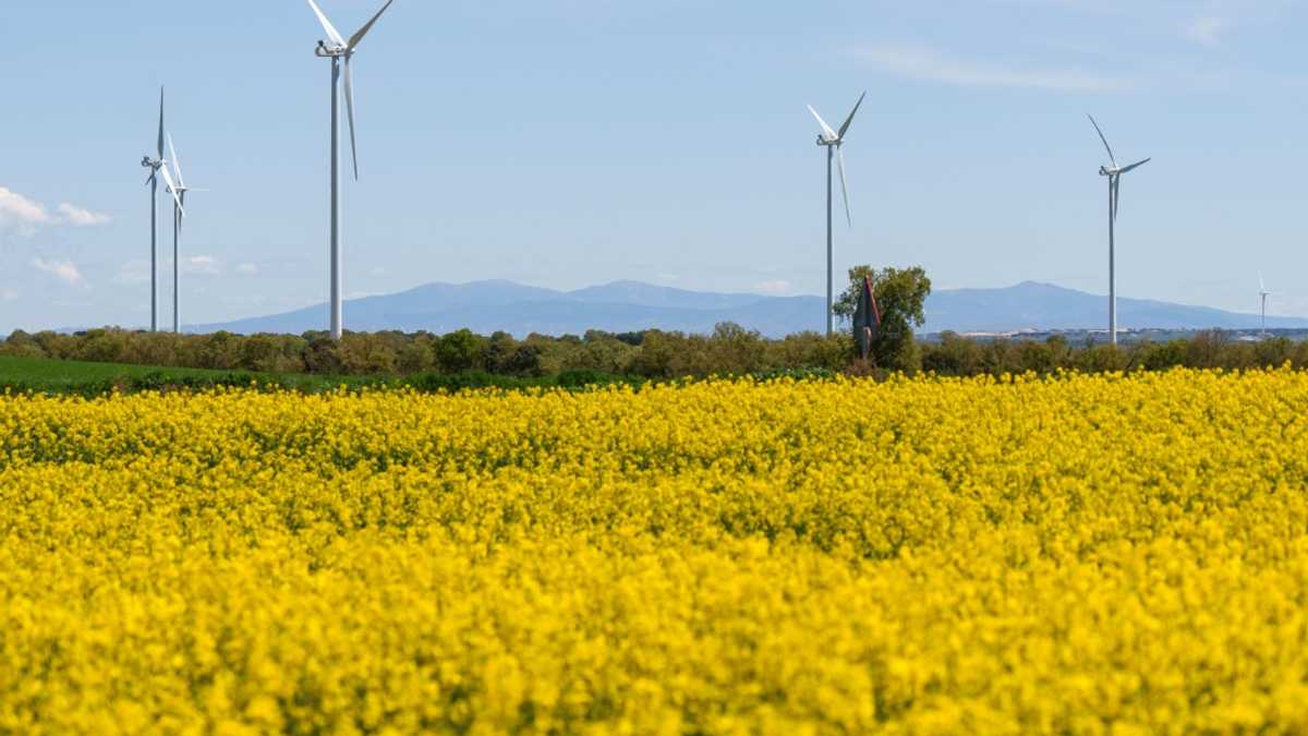 Spain's blackout highlights renewables' grid challenge