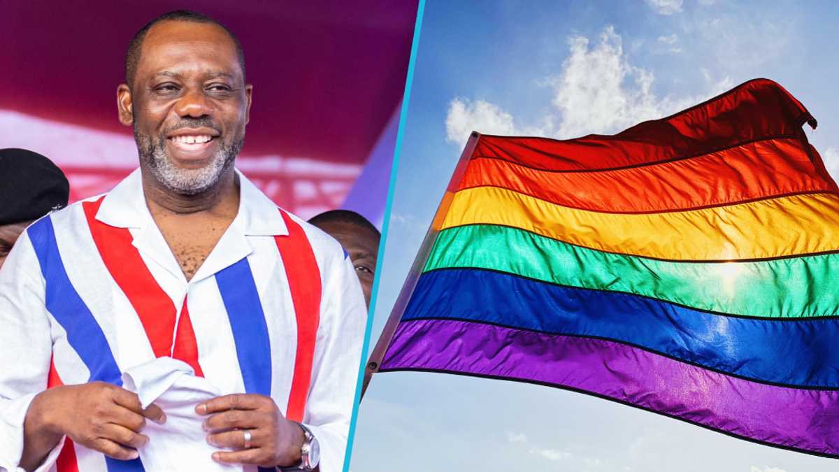 NAPO Accuses Mahama Administration Of Attempting To Sneak LGBT Content napo-accuses-mahama-administration-of-attempting-to-sneak-lgbt-content