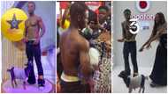 VGMA 2023: AY Poyoo's goat slays in white T-shirt while taking photos with him on red carpet