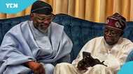Massive jubilation as President appoints Chief of Staff to a new role