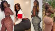 Forget Hajia Bintu: 17 photos of Ghanaian model Hanardy Hawa serving IG fans with her beauty