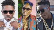 Baako suro: Shatta Wale apologises after contractor reported him to the police