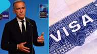 Canada announces official work permit fee for foreign applicants seeking jobs