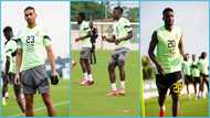 Netizens react to video of Black Stars final training ahead of game against Egypt: “Make us proud”