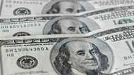 US multinationals grapple with soaring dollar