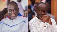 Alan K proposes "better" alternative to Ofori-Atta's debt exchange