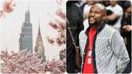 Mayweather reveals how many skyscrapers he owns in New York as he dismisses flashy lifestyle claims
