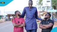 Facts about Ghana's tallest man Awuche: Life, height, and health challenges
