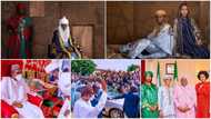 5 things that make Buhari Son’s wedding the talk of town