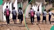 Boy criticised for carrying bags of female classmates while they walk freely like queens on the road