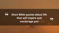 120+ short Bible quotes about life that will inspire and encourage you