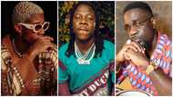 Sarkodie, Stonebwoy, KiDi And 2 Other Ghanaian Artists Whose Children Are Born Entertainers