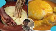 Ghanaian man shares hilarious disappointment after following YouTube cooking tutorial, video trends online
