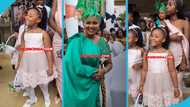 Baby Maxin dazzles as a flower girl at McBrown's nephew's wedding, video melts hearts