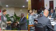 Photos drop as Akufo-Addo meets Denmark envoy to sign 2 Climate Change agreements