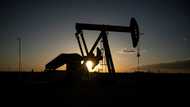 IEA sees anaemic global oil demand growth amid tariff turmoil