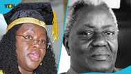 UG vice chancellor dismisses Akufo-Addo's call to name university after JB Danquah