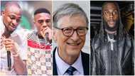 Old cats drama returns as Bill Gates speaks about Davido & WIzkid, says he had to look up Burna Boy & Rema