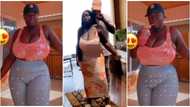 It's too much: Latest video of Kumawood actress Maame Serwaa flaunting 'tapoli' look with mystery man stirs reactions