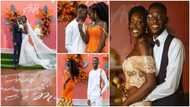 Lady weds photographer she met at her friend's birthday party in 2016, their wedding photos go viral