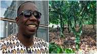 Inspirational: Ghanaian Bobie Ansah is the first to create bio fertilizer in Ghana