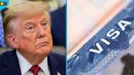US government announces new ESTA fee for foreign nationals from visa-exempt countries
