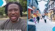 Canada-based Ghanaian exposes job scams and warns against relocating abroad