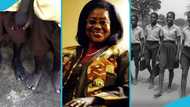 Dr Chinery-Hesse reflects on colonial-era hardships amid SHS haircut debate: “We walked barefoot”