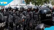 Police recover three stolen vehicles, arrest seven suspects