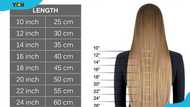 A comprehensive hair length chart for short, medium and long hair