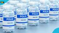STMA aims to vaccinate 10,390 children under five years with IPV2 vaccine