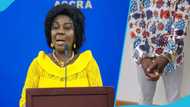 Cecilia Dapaah scandal: Two more arrested over cash stolen from former minister