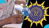 Science student who wrote the 2026 WAEC exam sparks debate as he shares results online, photo