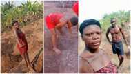 Valentine's Day on the farm - Young couple tend to their crops; photos, video stir reactions