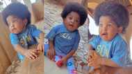 "The most beautiful girl in the world": Viral video of baby with long natural hair causes stir on TikTok