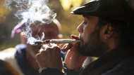 Canada launches review of cannabis legalization four years on