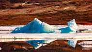 Arctic warming four times faster than rest of Earth: study