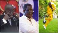 2022 in retrospect: Top funny videos involving Ghanaian politicians