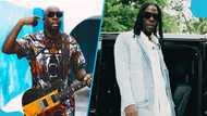 Stonebwoy: Wyclef relishes working with Ghanaian musician, likens him to Bob Marley