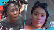 Drama as family of woman killed by houseboy chase suspect in court, police intervene