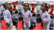 Little girl warms hearts as she mimics Kelly Bhadie, does waist dance in adorable video