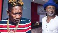 I have been advised to ignore Shatta Wale - Reggie Rockstone