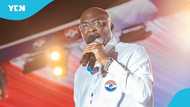Former Vice President Dr Mahamudu Bawumia tipped to win NPP flagbearer race by 52 per cent