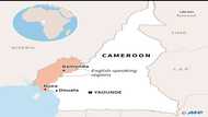 Cameroon says killed dozen anglophone separatists